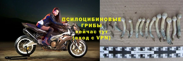тгк Армянск
