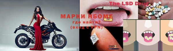spice Алзамай