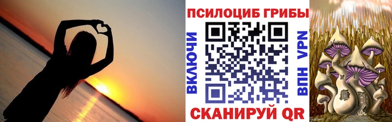 Галлюциногенные грибы ЛСД  mega сайт  Лукоянов 